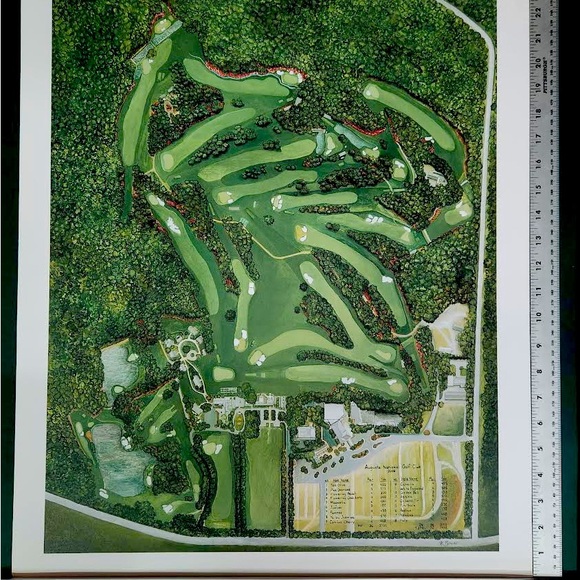 COPY - Augusta National Aerial 2006 Broom Print - Picture 1 of 1